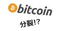 2017年8月1日のビットコインの分裂（フォーク）とそれに向けた対策について
